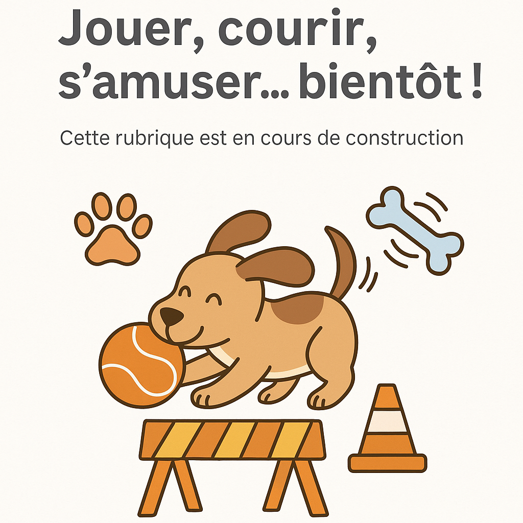 🎾 Jouer, courir, s’amuser… bientôt !