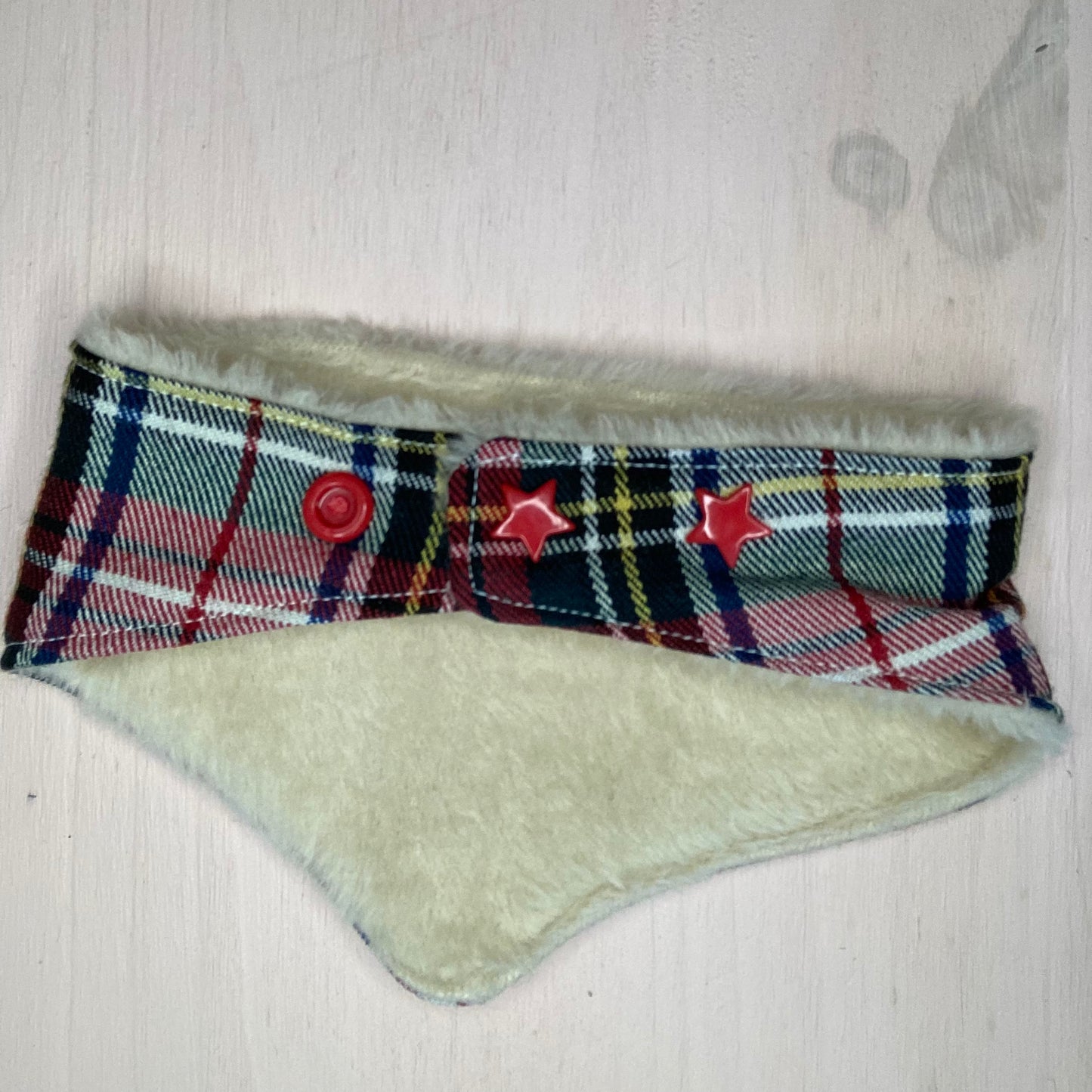 Bandana pour chien Carabidule