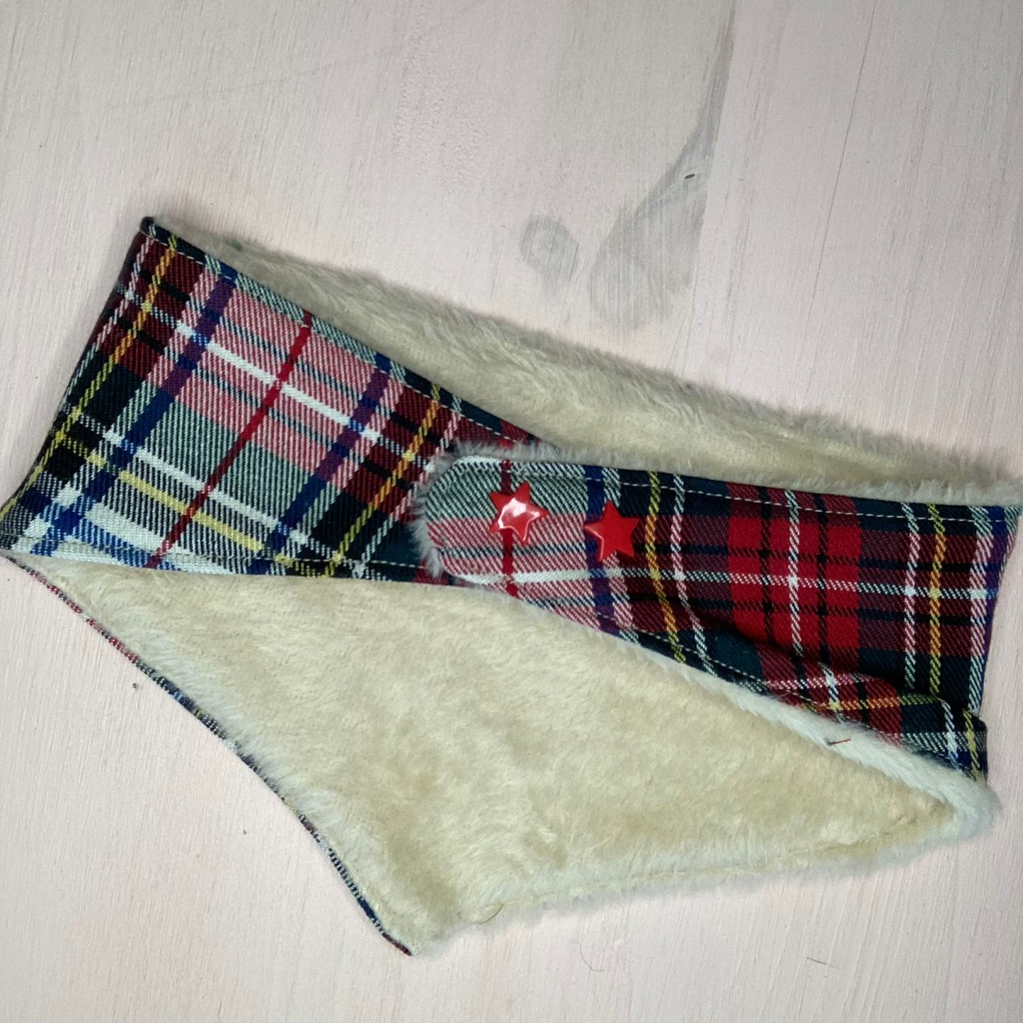 Bandana pour chien Carabidule