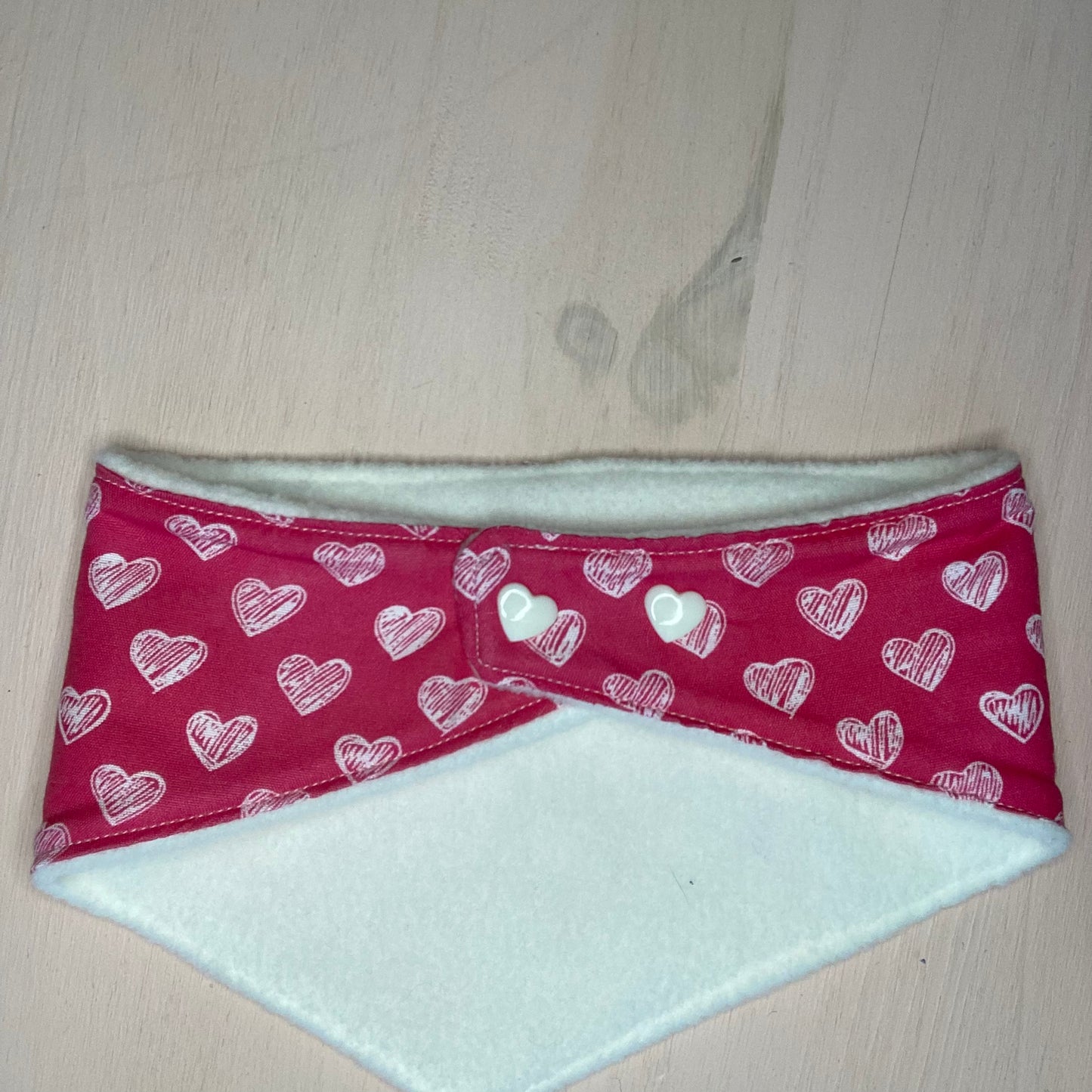 Bandana pour chien Carabidule