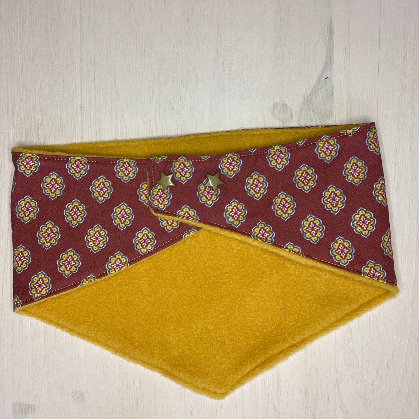 Bandana pour chien Carabidule