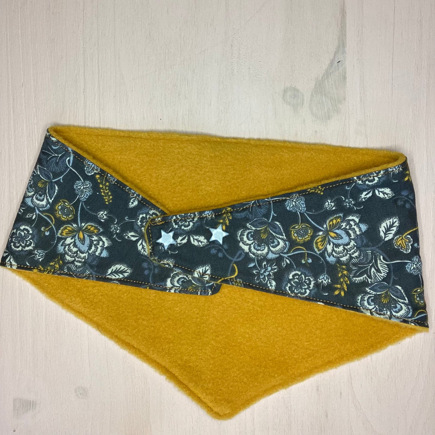 Bandana pour chien Carabidule