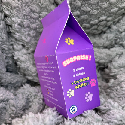 Blind Box Fidget Clicker – Chat ou Chien surprise