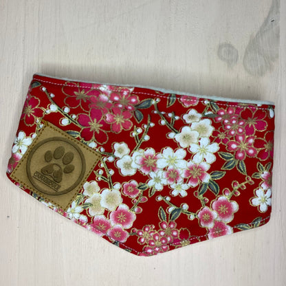 Bandana pour chien Carabidule