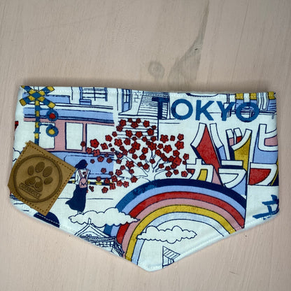 Bandana pour chien Carabidule