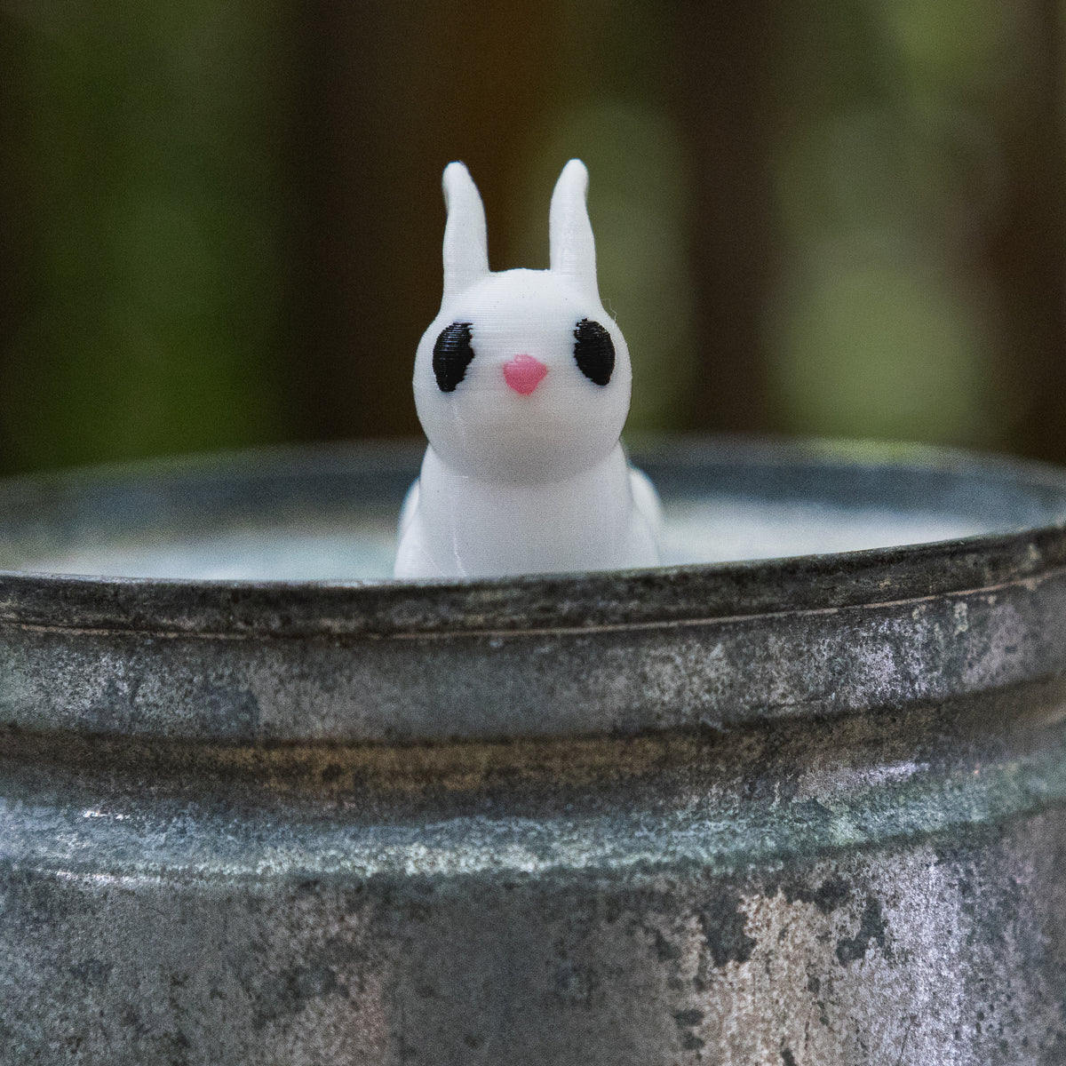 Fidget animaux de compagnie articulés imprimés en 3D