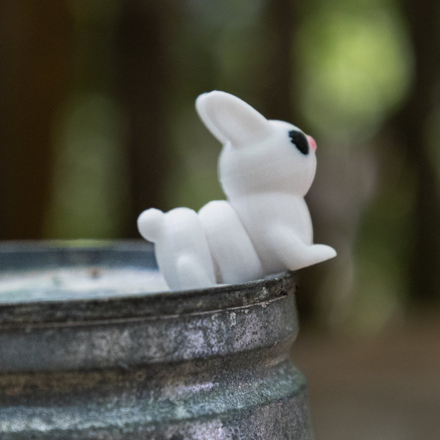 Fidget animaux de compagnie articulés imprimés en 3D